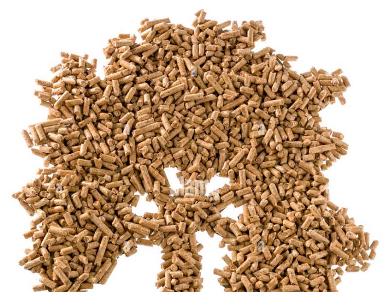 Linie de extrudare WPC pentru materiale de construcții în CSI